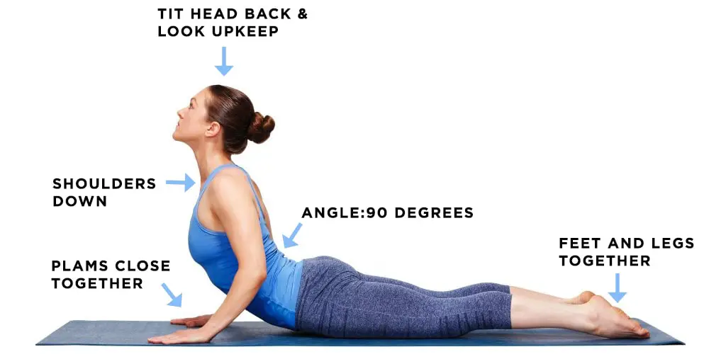 Cobra Yoga Stretch Health Benefits Of Cobra Pose Explained Ggp | My XXX ...