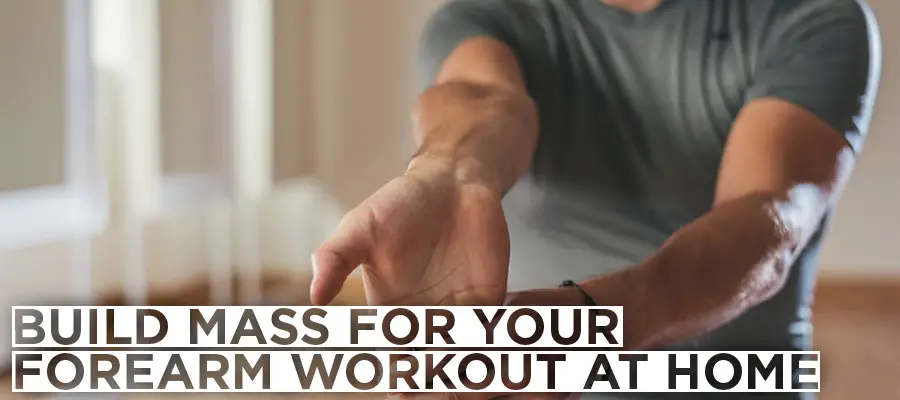 forearm workout at home