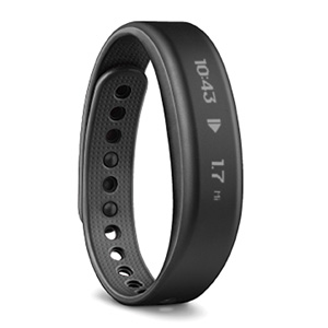 Garmin VivoSmart