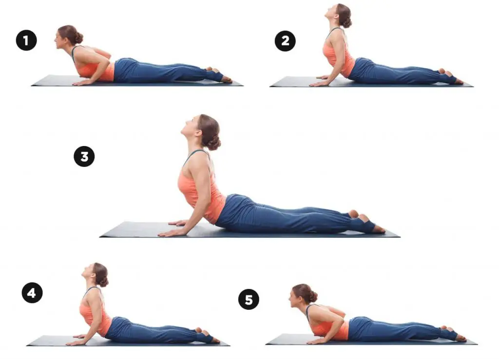 Cobra Yoga Stretch Health Benefits Of Cobra Pose Explained Garage Gym Planner 9679