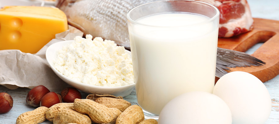 Protein-Rich Diet