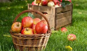 Apples Apples