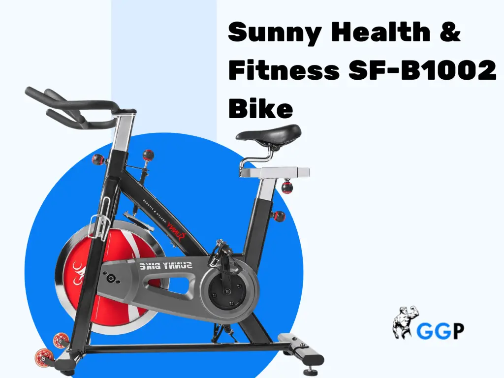 Sunny Health & Fitness SF-B1002 Bike